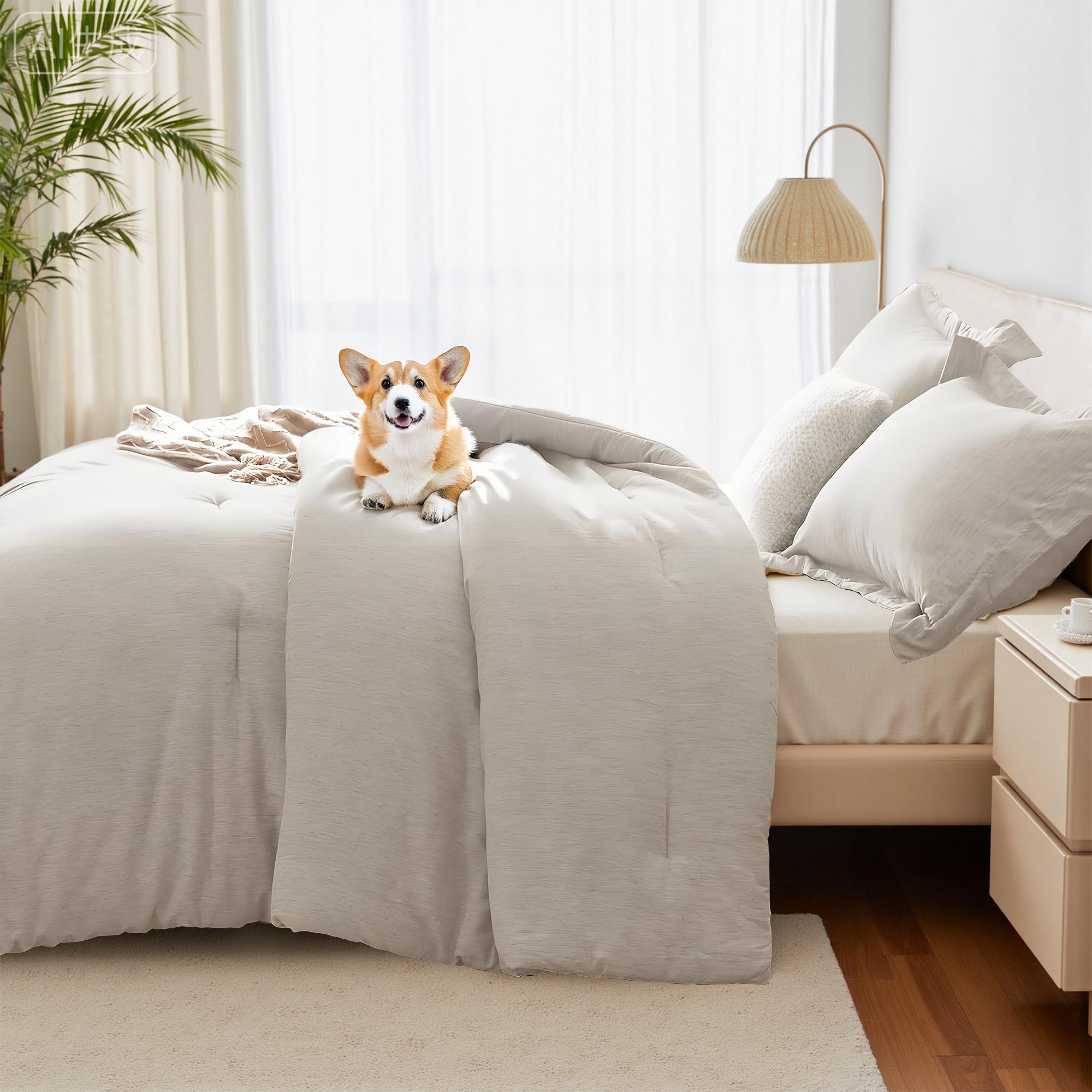 Raybee  MarshMellow  Soft Comforter Set Queen Size-3-PCS ,Bedding Set for All Seasons ,Soft Luxury Cationic Dyeing Comforter for All Season,Including 1 Comforter Set & 1 Or2 Pillows Shams