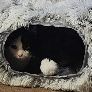 Product Review of Winter Warm Pet Bed, 2 in 1 Foldable Cat Tunnel Cat Bed, Warm Plush Cat Bed with Hanging Ball & Tunnel Buckle, Pet Supplies for Indoor Outdoor Use from S**m