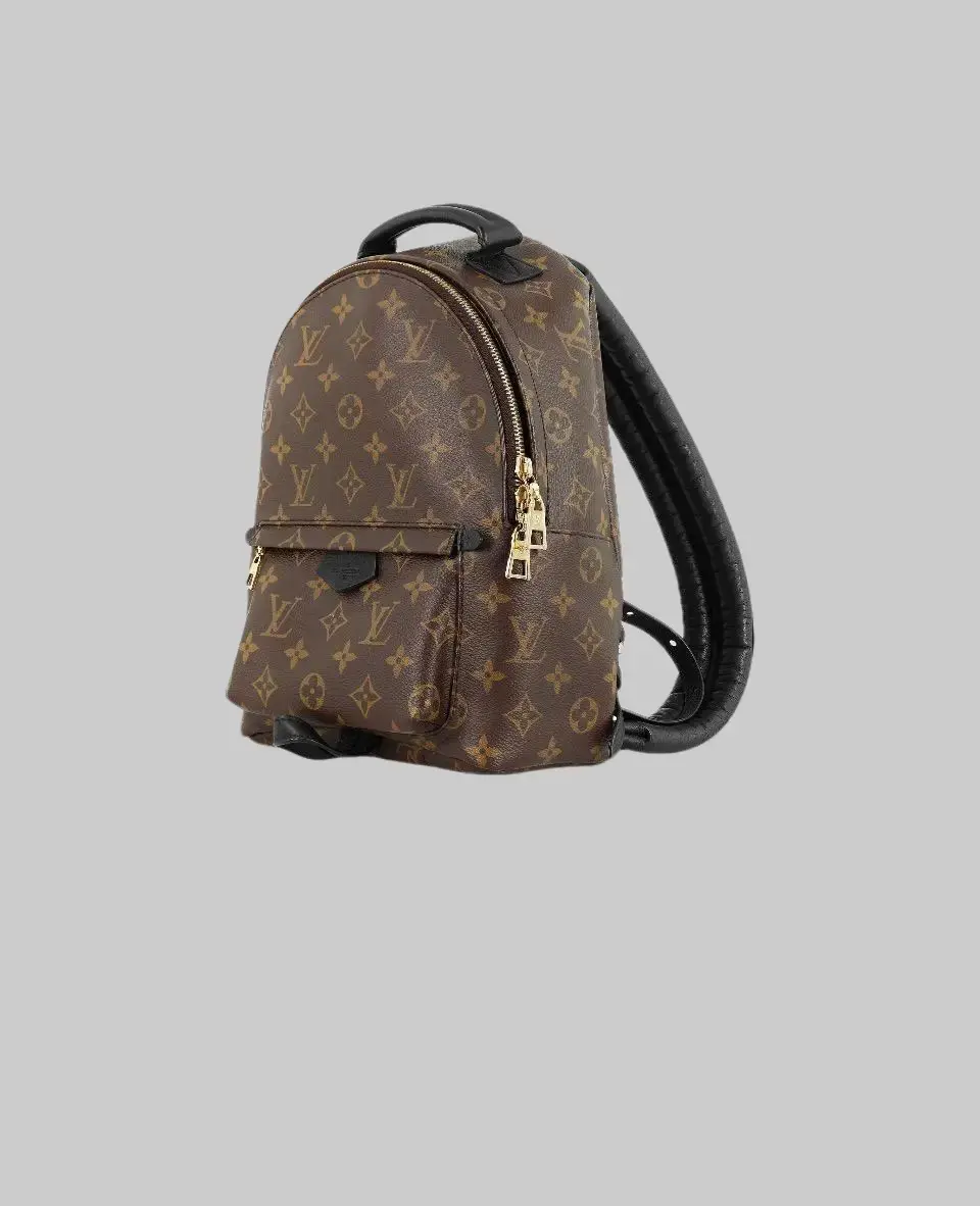 Pre-owned Louis Vuitton LV Palm Springs PM Backpack Classic Monogram Designer Backpack