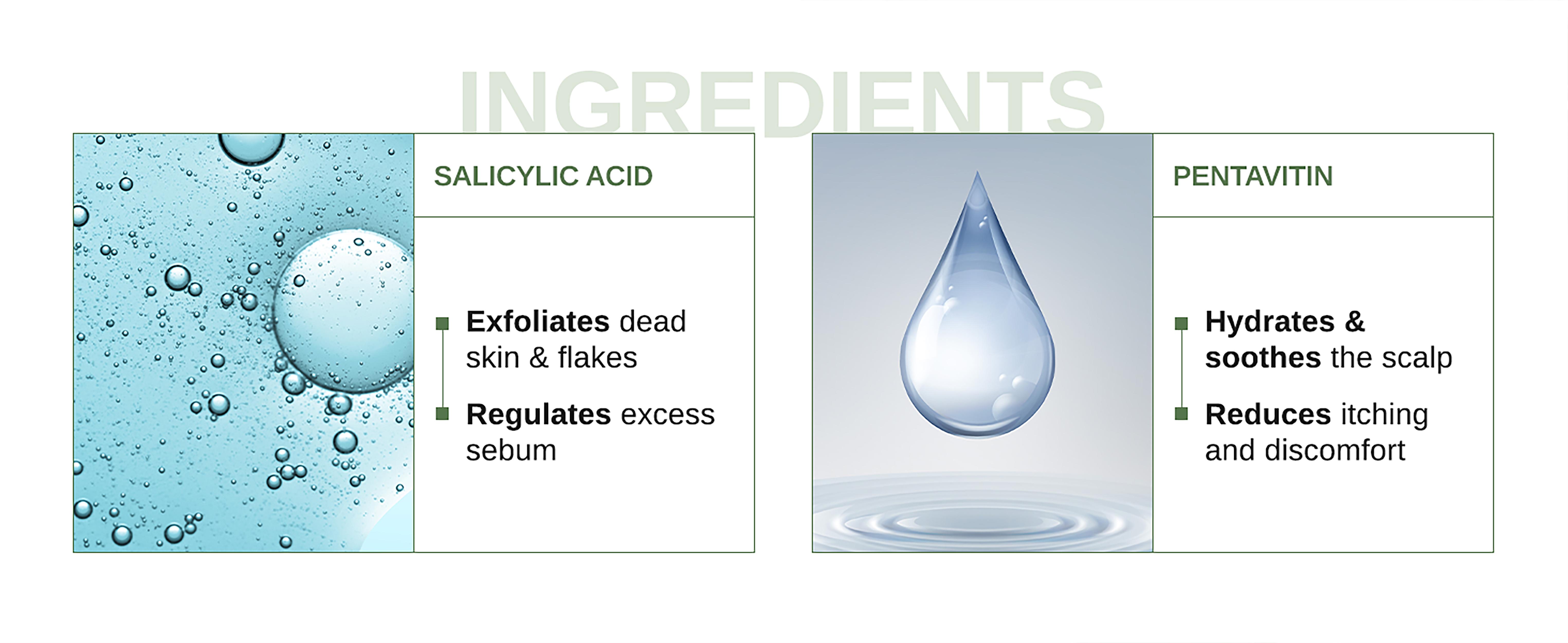 Anti Dandruff Shampoo - Shampoo for Men & Women for Flaky, Itchy, Oily, & Dry Scalp - Nourishes Scalp and Reduces Breakage & Flakes - Color, Sulfate-Free, Paraben-Free