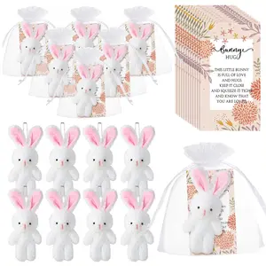 Easter Bunny Plush Gift Set (12/24 Pieces), Holiday Figurine Decorations, Mini Bunnies, Rabbit Plush, Candy Gifts, Home Festival Decor, Party Favors, Party Favors Assortment