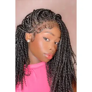 JALIZA - 14" Micro Passion Twist Swiss HD Full Lace Braided Wig Lace Front Wigs Lace Braiding Wig