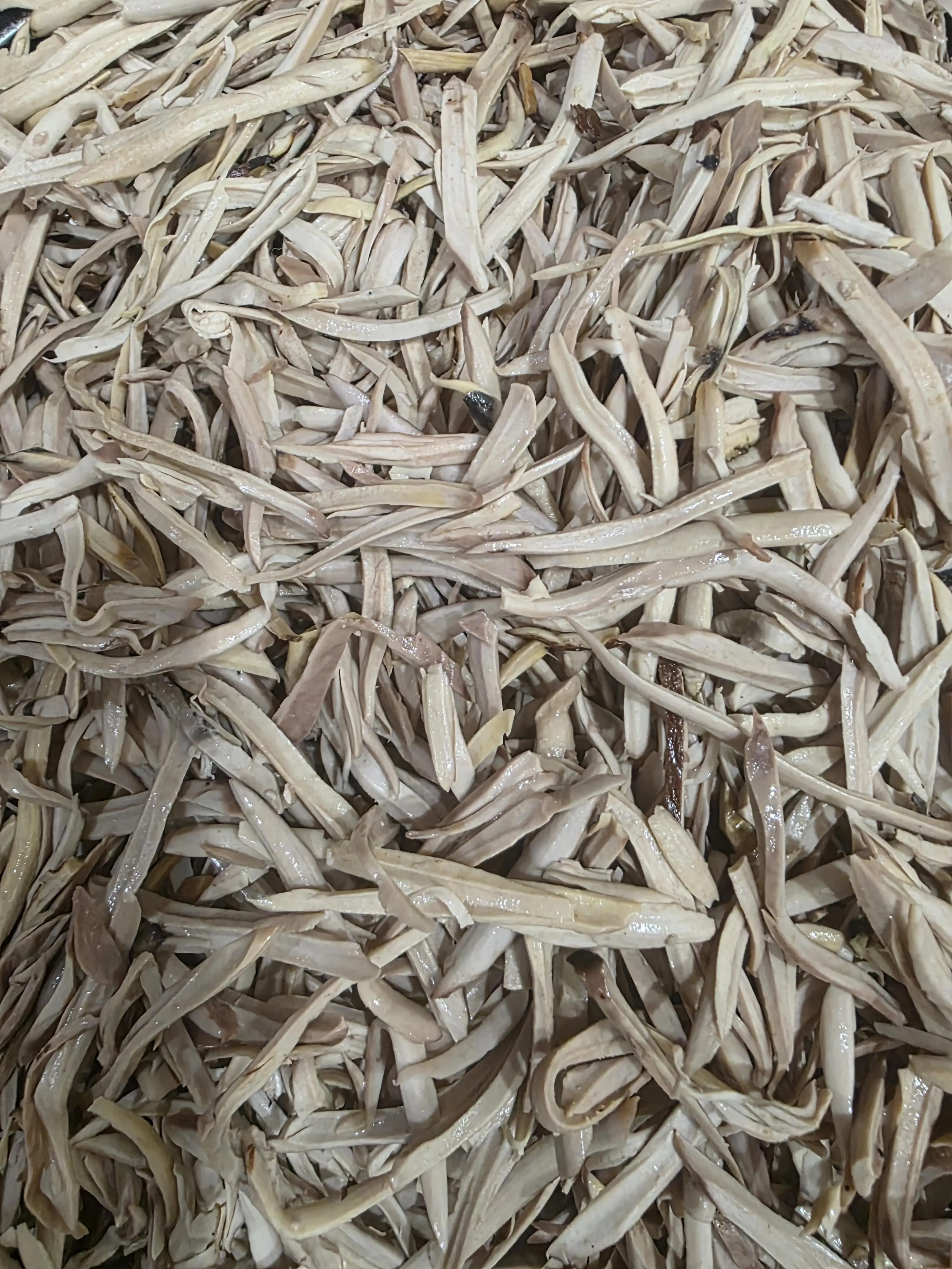 Fresh Ugba, 1lb Pack Fresh Ugba, 1lb Pack
