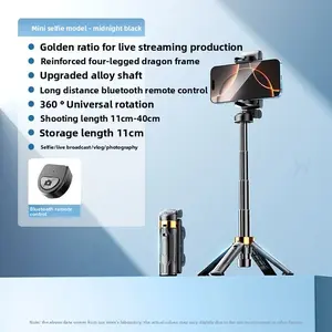 Multifunctional Integrated Storage Portable Phone Shooting Aid Mini Phone Live Streaming Shooting Pocket Selfie Stick