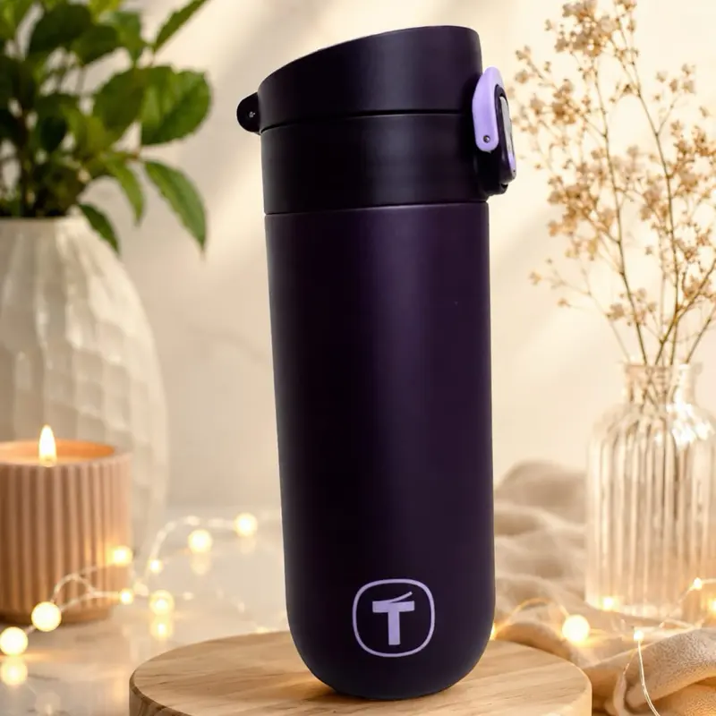 Termo T Insulated Water Bottle, 450 ml Capacity