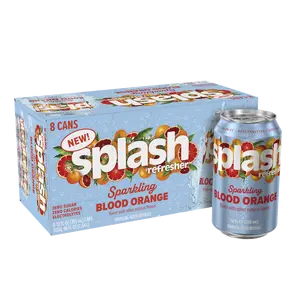 Splash Rocket Freeze Sparkling Water 12 fl oz 24 Cans Beverage with Other Natural Flavors Zero Sugar Zero Calories Electrolytes