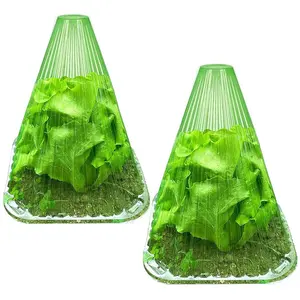 5Pcs Growth Box Planting Tent Reusable Square Use Plant Clock Cover To Protect Plants From Bird Frost and Snail Damage Green