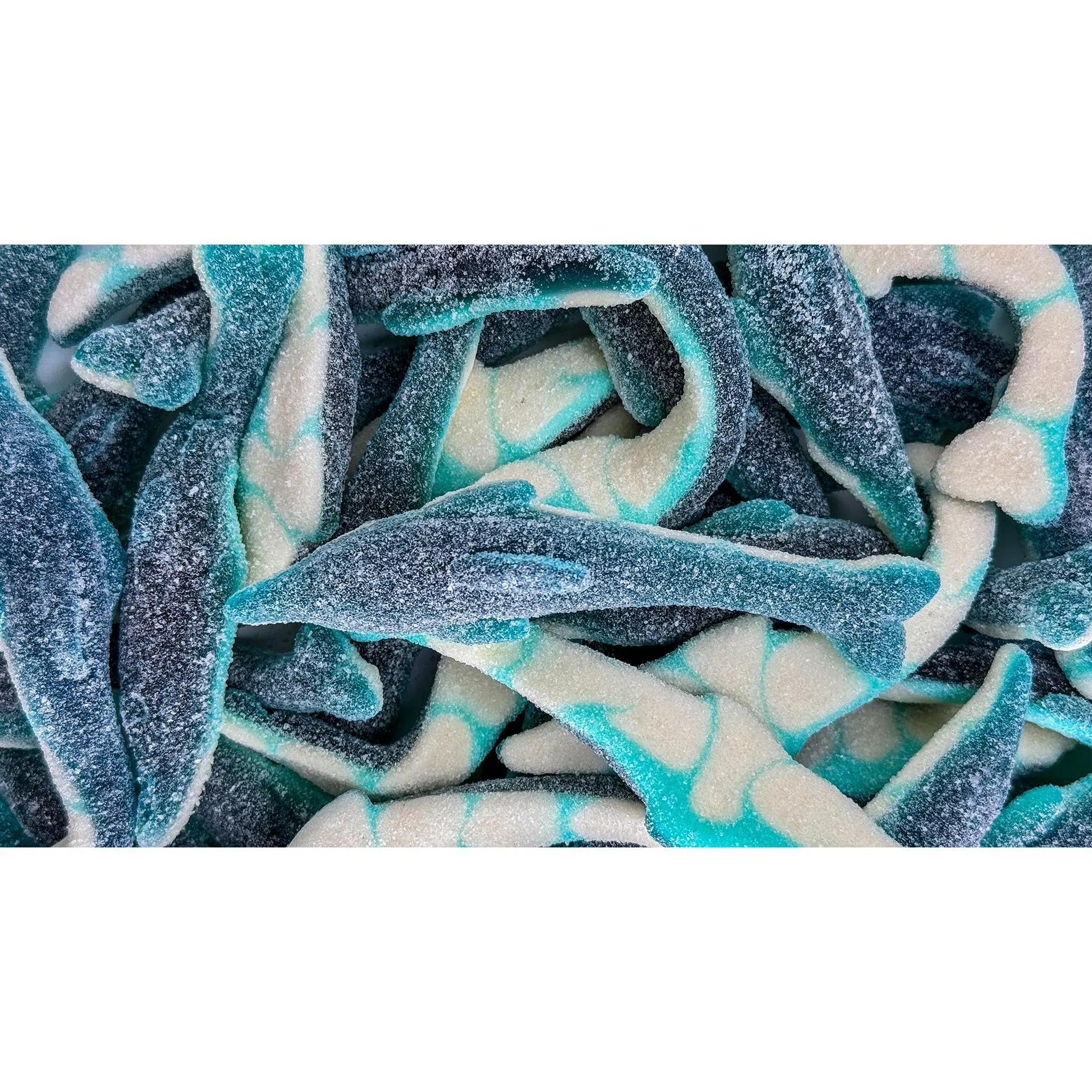 Giant Sour Dolphins