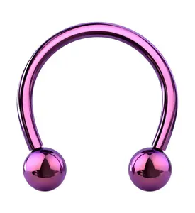 Purple PVD Titanium Circular Barbell