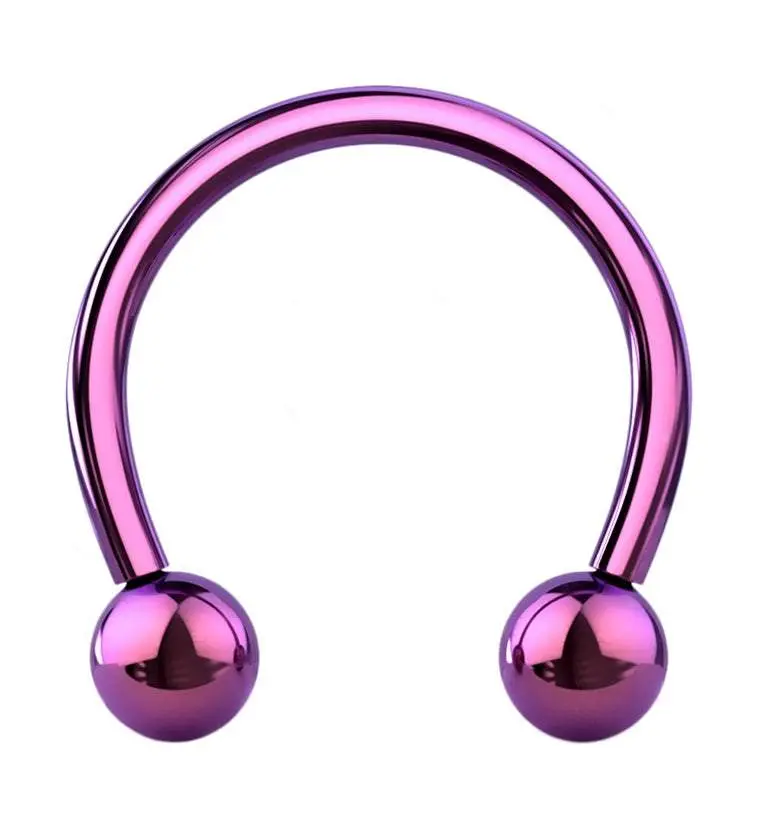 Purple PVD Titanium Circular Barbell Purple PVD Titanium Circular Barbell