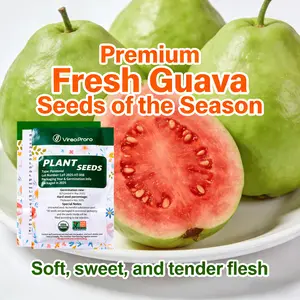 Easy-to-Grow Guava Seeds | High Germination | Home Garden Delight