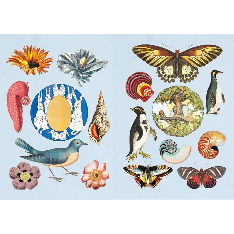 The Antiquarian Sticker Book: Over 1,000 Exquisite Victorian Stickers by Odd Dot (The Antiquarian Sticker Book Series) (Hardcover)