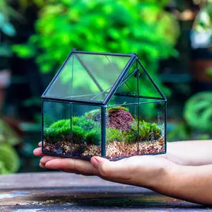 Handmade Mini Glass House-shaped Terrarium with Top Door, for Plants, Moss, Succulents