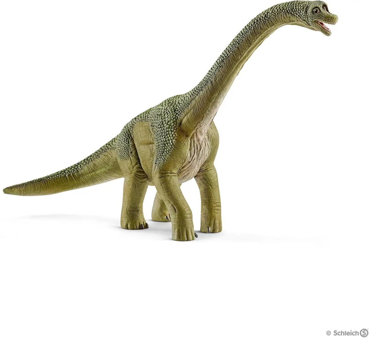 Brachiosaurus