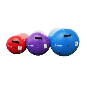 Tumbl Trak Air Barrel, Commercial Grade Air Roller for Gymnastics and Cheerleading, Blue, 24In Diameter