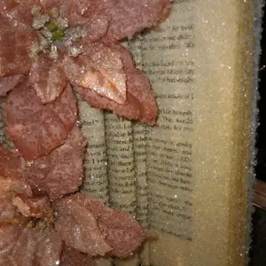 Crystallized Book "The notebook"