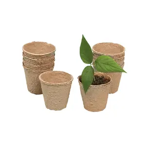 2" Small Biodegradable DIY Watch It Grow Seed Pots - 24 Pcs.