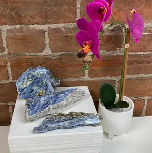 Kyanite Rough Specimen 4.01-5.9”