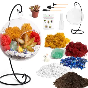 Creations by Nathalie 5" Hanging Glass Succulent Terrarium Kit, DIY Starter, Moss, Crystals, Rocks, Tools & Figurine (Live Plant Included)