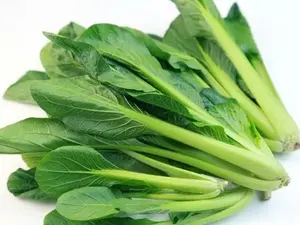 200+ Seeds Tendergreen Mustard(Brassica juncea) Spinach mustard Komatsuna USA