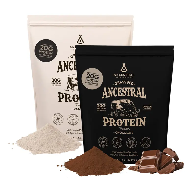 Ancestral Supplements Grass Fed Protein Powder Vanilla Beef Bone Broth Based with Beef Organs & Organic Mushrooms Gut Health Support High Protein Supplement 20g Protein Per Serving 30 Day Supply Lean Muscle Booster Dietary Optimum