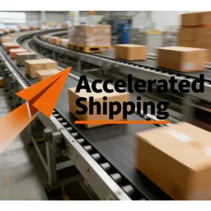 An item of women’s apparel An item of women’s apparel