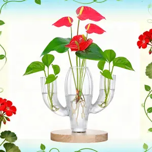 Cactus-Shaped Plant Propagation Station – Clear 3-Area Glass Vase for Succulents & Cuttings, Stylish Home & Garden Decor, Unique Christmas & Holiday Gift for Plant Lovers