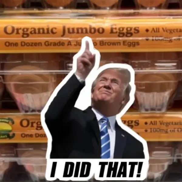 100Pcs I Did That Trump Sticker - Vinyl Sticker, Water Resistant, 1.5" x 1.5", Anti-Trump, Meme Sticker, Fdt