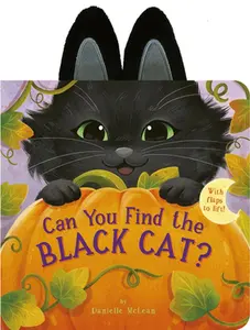Can You Find the Black Cat?: With Flaps to Lift! -- Danielle McLean, Board Book