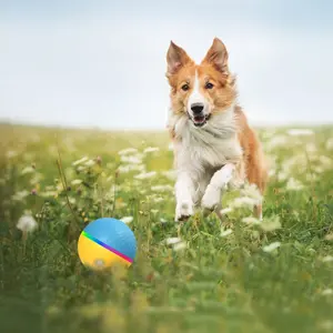 Remote Control Interactive Intelligent Toy Ball