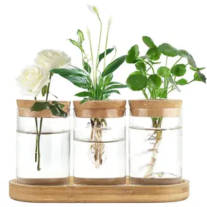 Plant Propagation Terrarium Desktop Glass Planter Station Water Planting Glass Vase with Lid and Wooden Stand for Propagating Hydroponic Plants Centerpiece Office Home Garden Decor, 3 Pcs