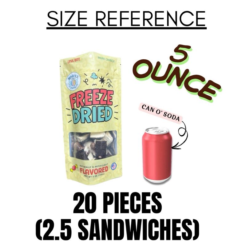 Freeze Dried HOT FUDGE BROWNIE Ice Cream Sandwich Bites - Viral TikTok Snack - Halloween