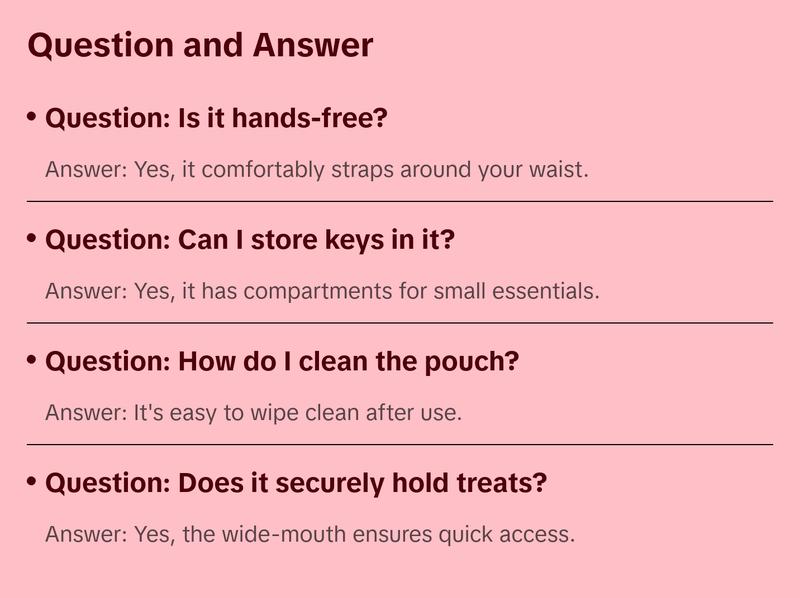 Puppy Training Treat Pouch