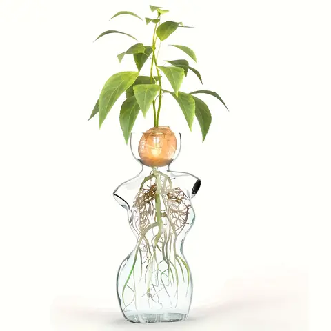 Elegant Female Silhouette Glass Vase - 0 – 50 Cm Home Accessory, Unique Decor, Apartment Accessories for Plant Propagation, Avocado Bulbs, Plant Cuttings - Floor & Desk Easter Decoration