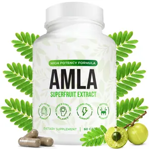 Organic Amla 1000mg Capsules | Indian Gooseberry Fruit Supplement for Antioxidant, Energy & Digestive Support | Ayurvedic Wellness Formula | 60 Vegan Capsules