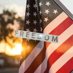 Charlie Kirk Freedom Decal | Premium Vinyl Decal | Car Window & Laptop Sticker | American Made