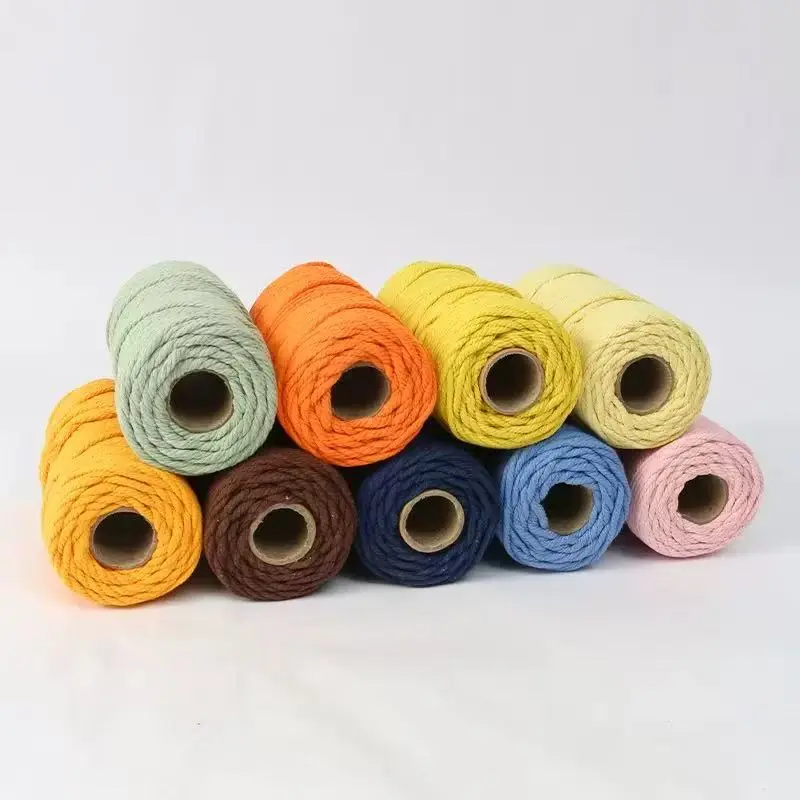 4mm Colorful Cored Cotton Macrame Cord - 100m/109 Yards Braided Cotton Rope for DIY Crafts, Plant Hangers & Knitting