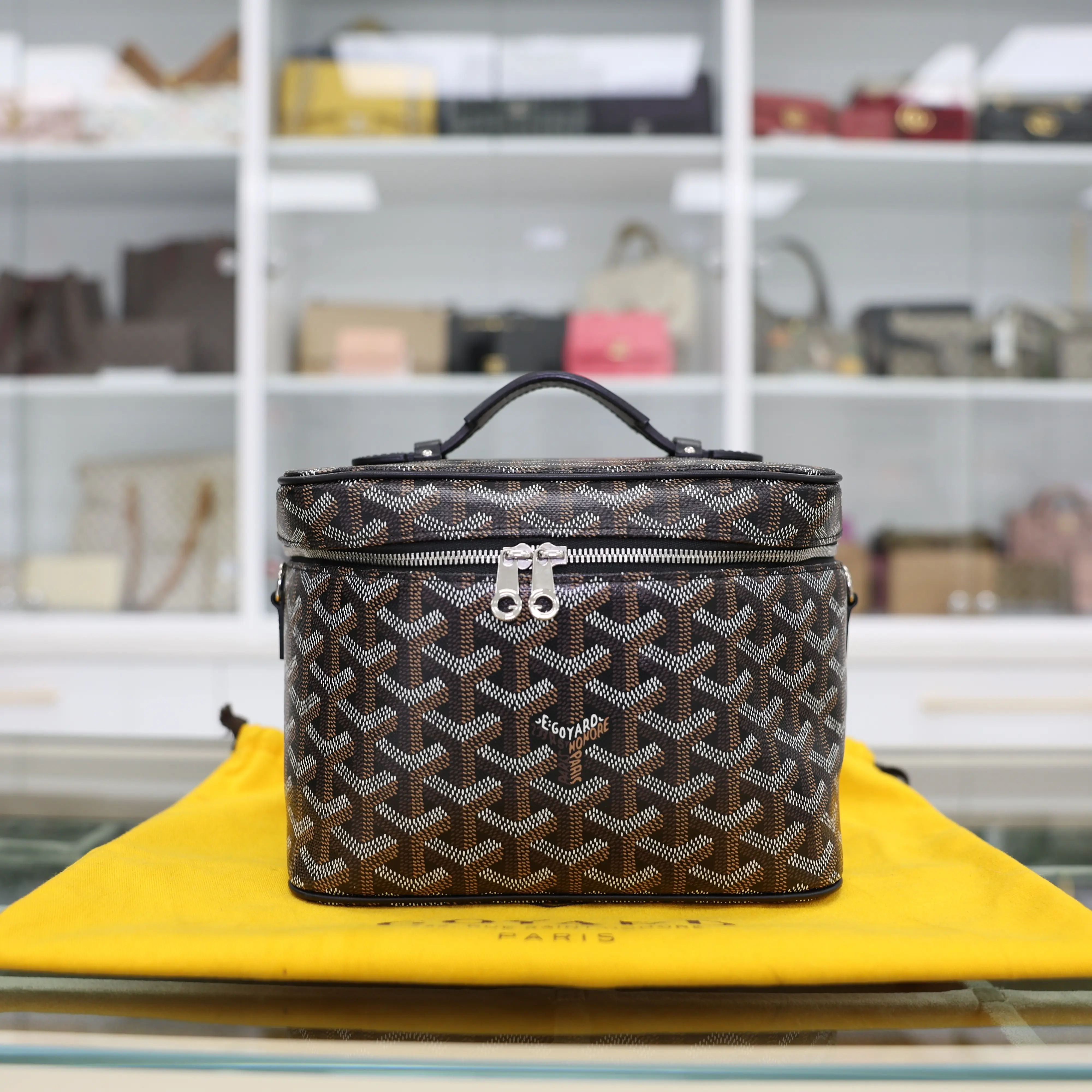 Pre-owned Goyard Canvas Toiletry Bags Goyardine Muse Vanity Case In Black Canvas