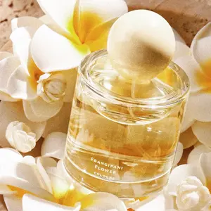 Car Fragrance for Car Interior - Long-Lasting Scent Automotive Accessory