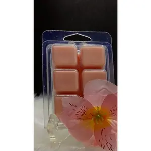 Tropical Rain Clam Shell Wax Melts