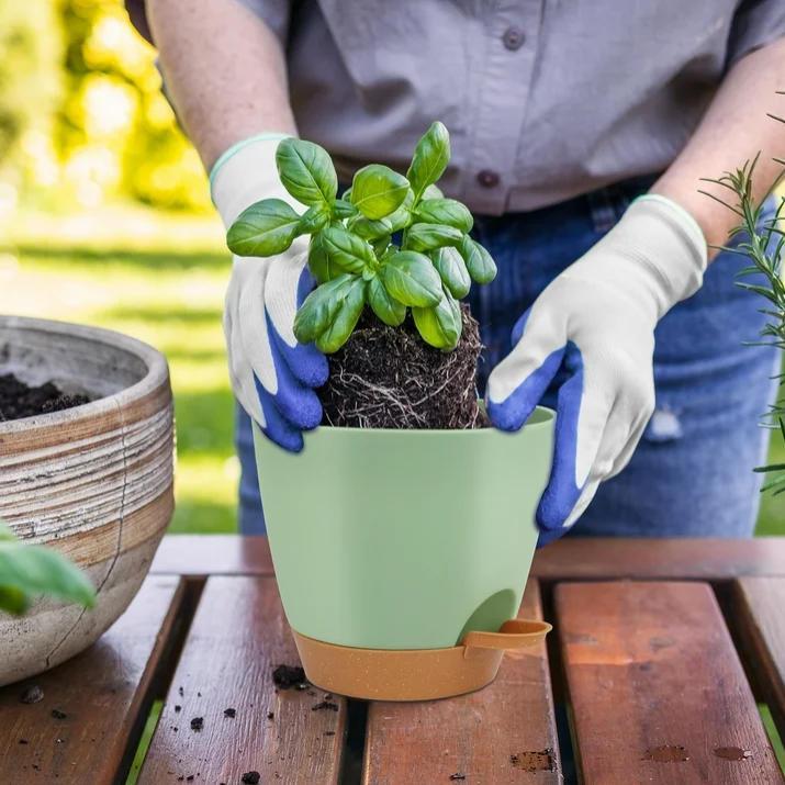 Set of 5 Self-Watering Plant Pots (7", 6.5", 6", 5.5", 5") – Plastic Flower Pots for Indoor & Outdoor Succulents, Includes Nitrile Gloves