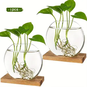 Glass Vase with Wooden Stand, 1 Box Round Glass Vase, Hydroponic Plant Vase, Modern Plant Vase, Desktop Plant Pot for Home Office Decoration, Ornaments