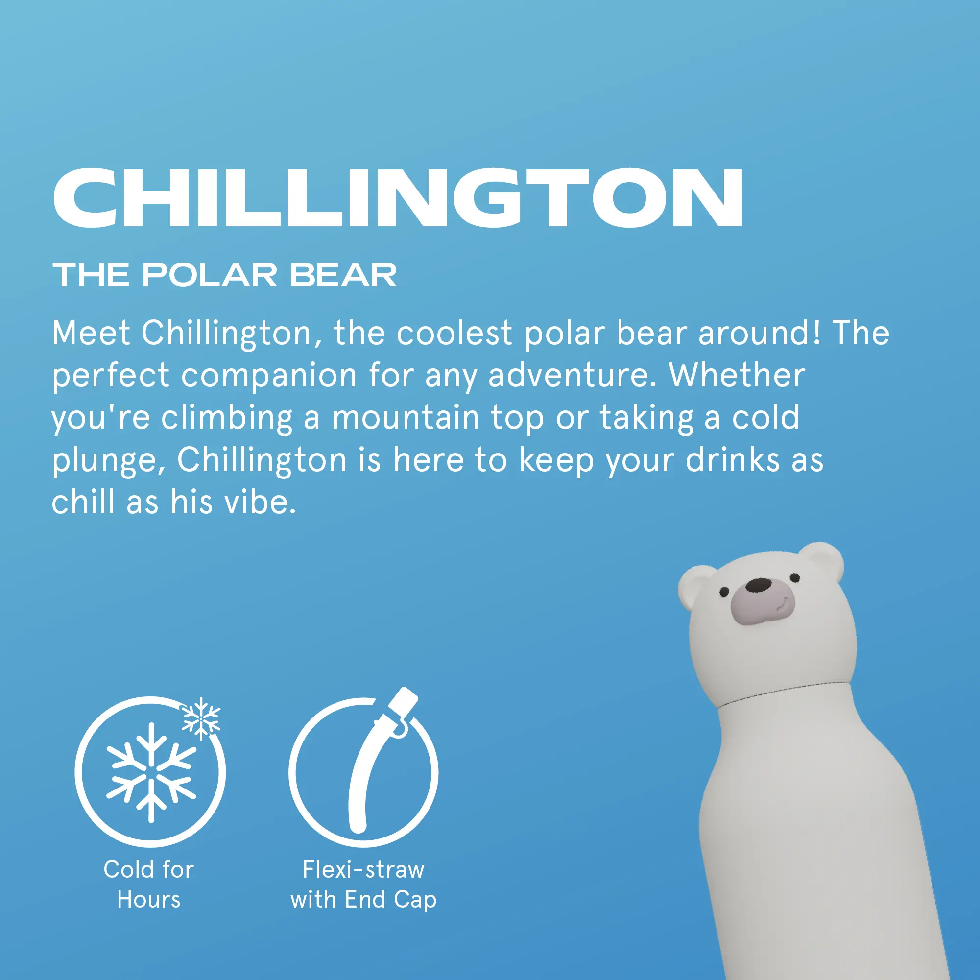 Chillington the Polar Bear