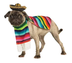 MEXICAN SARAPE PET COSTUME
