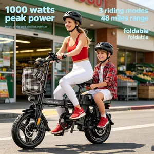 E14 Compact Folding Electric Bike 1000W, Up to 45 Miles Long Range | 14" Tubeless Tires, Dual Disc Brakes | UL Certified Battery, 12-Month Warranty, Perfect for Urban Commuting