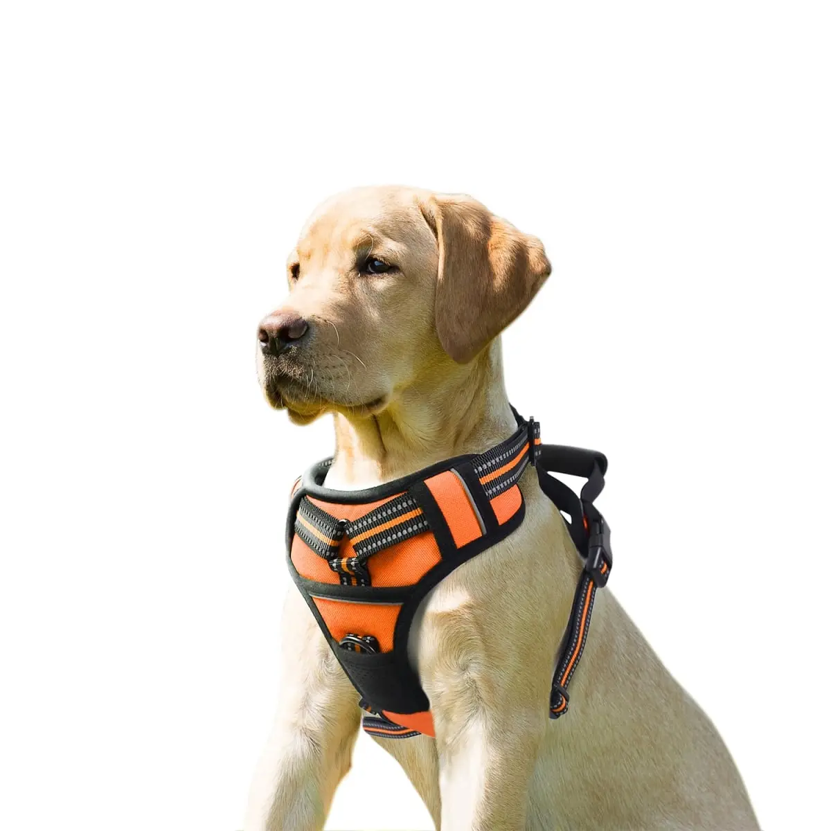 360 Stand GDH-1726OR Padded Reflective Dog Harness - Adjustable, Lightweight, Easy-Control Outdoor Pet Harness with Top Handle for Night Safety, Small to Large Dogs