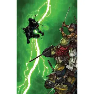 TMNT LAST RONIN II RE-EVOLUTION #2 - RAYMOND GAY - VIRGIN EXCLUSIVE