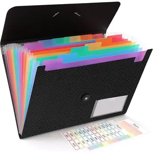 Expanding File Folder, Accordion File Organizer with 13 Pockets for A4/Letter Sized Paper, Accordion Folder with Labels - Document Receipt Organizer for Office, School, Home
