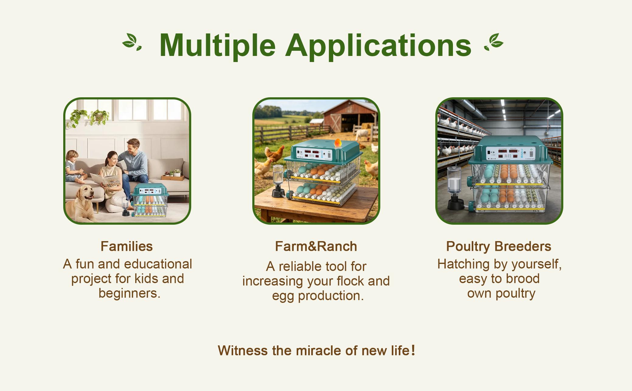 2026 Upgraded Automatic Egg Incubator Multiple Capacities, Intelligent Digital Hatcher with Auto Turning & Temp Humidity Control for Chicken Duck Quail 2026 Upgraded Automatic Egg Incubator Multiple Capacities, Intelligent Digital Hatcher with Auto Turning & Temp Humidity Control for Chicken Duck Quail