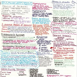 Diabetic Emergencies and Altered Mental Status EMT Chapter 19